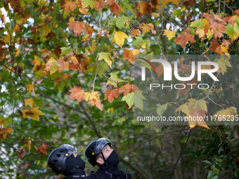 Two CNAMO members look at a tree where an 'ecureuil' lives. The Gendarmerie blocks access to one of the rivers of the Canal du Midi to expel...