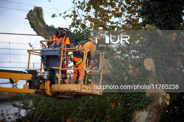 Two woodcutters cut down a plane tree where two 'ecureuils' still live. The gendarmerie blocks access to one of the rivers of the Canal du M...