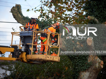 Two woodcutters cut down a plane tree where two 'ecureuils' still live. The gendarmerie blocks access to one of the rivers of the Canal du M...