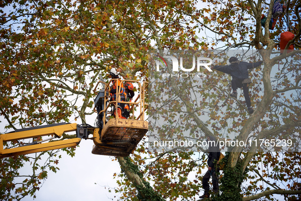 Two woodcutters cut down a plane tree where two 'ecureuils' still live. The gendarmerie blocks access to one of the rivers of the Canal du M...