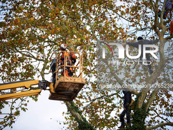 Two woodcutters cut down a plane tree where two 'ecureuils' still live. The gendarmerie blocks access to one of the rivers of the Canal du M...