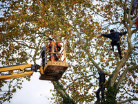 Two woodcutters cut down a plane tree where two 'ecureuils' still live. The gendarmerie blocks access to one of the rivers of the Canal du M...