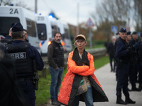 A woman walks near riot policemen who protect the cutting of trees for the LGV project. The gendarmerie blocks access to one of the rivers o...