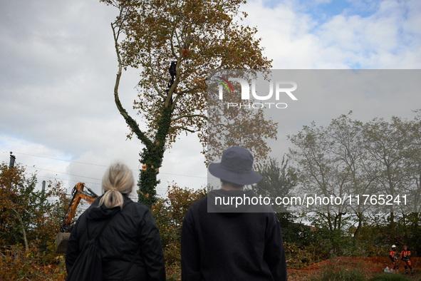 Residents observe the 'ecureuils' living in the plane tree, which will be cut for the LGV project. The gendarmerie blocks access to one of t...