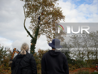 Residents observe the 'ecureuils' living in the plane tree, which will be cut for the LGV project. The gendarmerie blocks access to one of t...