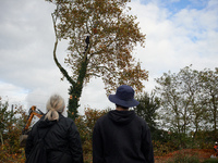 Residents observe the 'ecureuils' living in the plane tree, which will be cut for the LGV project. The gendarmerie blocks access to one of t...