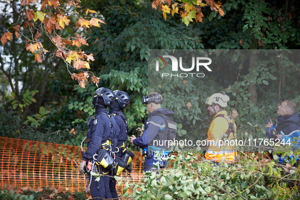 CNAMO policemen look at the plane tree to be cut, which is occupied by two 'ecureuils'. The gendarmerie blocks access to one of the rivers o...