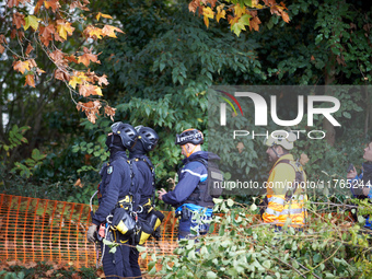 CNAMO policemen look at the plane tree to be cut, which is occupied by two 'ecureuils'. The gendarmerie blocks access to one of the rivers o...