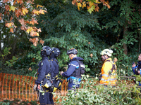 CNAMO policemen look at the plane tree to be cut, which is occupied by two 'ecureuils'. The gendarmerie blocks access to one of the rivers o...