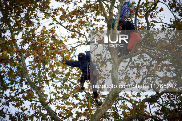 Two 'ecureuils' live in a plane tree that is to be cut to block the LGV project. The gendarmerie blocks access to one of the rivers of the C...