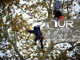 Two 'ecureuils' live in a plane tree that is to be cut to block the LGV project. The gendarmerie blocks access to one of the rivers of the C...