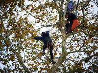 Two 'ecureuils' live in a plane tree that is to be cut to block the LGV project. The gendarmerie blocks access to one of the rivers of the C...