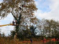 Two woodcutters cut down a plane tree where two 'ecureuils' still live. The gendarmerie blocks access to one of the rivers of the Canal du M...