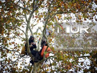 One of the two 'ecureuils' living in a tree to be cut reads a poem. The gendarmerie blocks access to one of the rivers of the Canal du Midi...