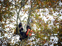 One of the two 'ecureuils' living in a tree to be cut reads a poem. The gendarmerie blocks access to one of the rivers of the Canal du Midi...