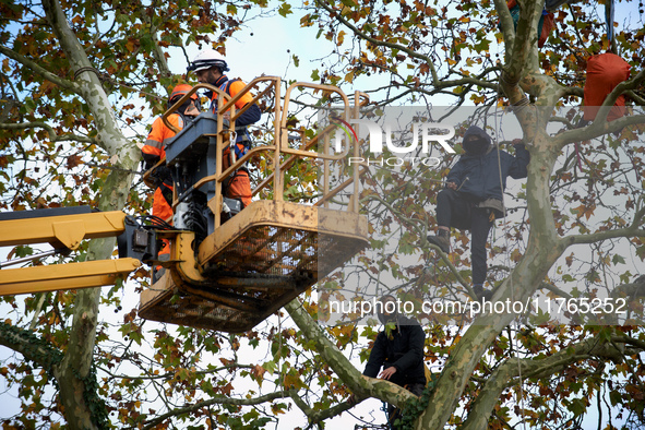 Two woodcutters cut down a plane tree where two 'ecureuils' still live. The gendarmerie blocks access to one of the rivers of the Canal du M...