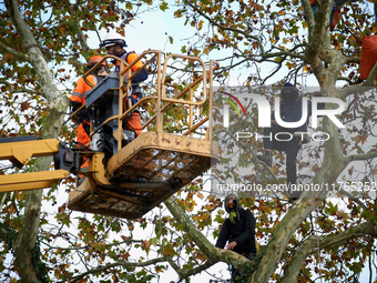 Two woodcutters cut down a plane tree where two 'ecureuils' still live. The gendarmerie blocks access to one of the rivers of the Canal du M...