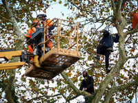 Two woodcutters cut down a plane tree where two 'ecureuils' still live. The gendarmerie blocks access to one of the rivers of the Canal du M...