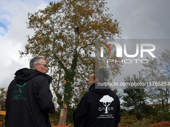 Two members of the GNSA (National Group of Trees Survey) stand in front of a plane tree where a 'ecureuil' lives. The plane tree will be cut...