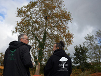 Two members of the GNSA (National Group of Trees Survey) stand in front of a plane tree where a 'ecureuil' lives. The plane tree will be cut...