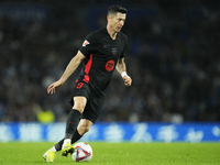 Robert Lewandowski centre-forward of Barcelona and Poland during the LaLiga match between Real Sociedad and FC Barcelona at Reale Arena on N...