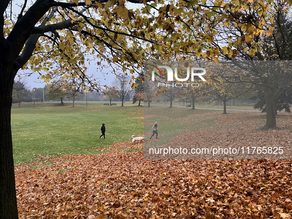 Rainy weather occurs during the autumn season in Toronto, Ontario, Canada, on November 10, 2024. 