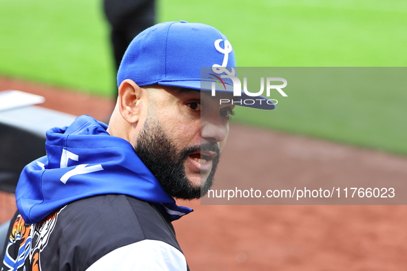 Los Tigres del Licey coach Hector Borg is present during the seventh inning of a baseball game against Las Aguilas Cibaenas at Citi Field in...