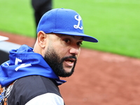 Los Tigres del Licey coach Hector Borg is present during the seventh inning of a baseball game against Las Aguilas Cibaenas at Citi Field in...