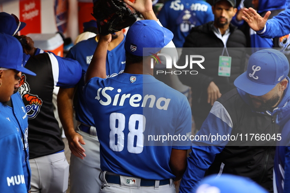 Los Tigres del Licey pitcher Miguel Diaz #88 comes off the field during the seventh inning of a baseball game against Las Aguilas Cibaenas a...