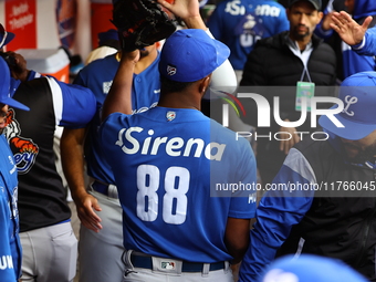 Los Tigres del Licey pitcher Miguel Diaz #88 comes off the field during the seventh inning of a baseball game against Las Aguilas Cibaenas a...