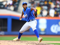 Los Tigres del Licey pitcher Miguel Diaz #88 throws during the sixth inning of a baseball game against Las Aguilas Cibaenas at Citi Field in...