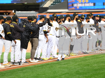 Las Aguilas Cibaena players and coaches are introduced before the baseball game against Los Tigres del Licey at Citi Field in Corona, N.Y.,...