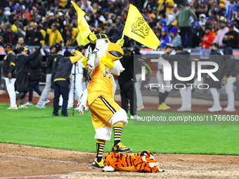 The Las Aguilas Cibaenas mascot celebrates with a stuffed tiger after the team's 3-2 win in the baseball game against Los Tigres del Licey a...