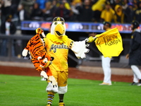 The Las Aguilas Cibaenas mascot celebrates with a stuffed tiger after the team's 3-2 win in the baseball game against Los Tigres del Licey a...