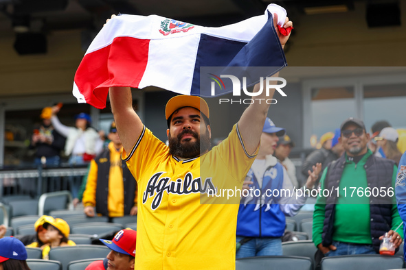 The Las Aguilas Cibaenas fans cheer during the baseball game against Los Tigres del Licey at Citi Field in Corona, N.Y., on November 10, 202...