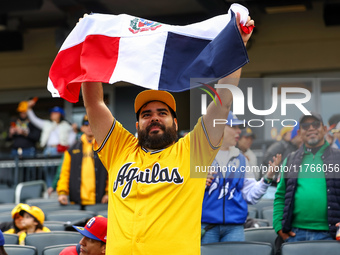 The Las Aguilas Cibaenas fans cheer during the baseball game against Los Tigres del Licey at Citi Field in Corona, N.Y., on November 10, 202...