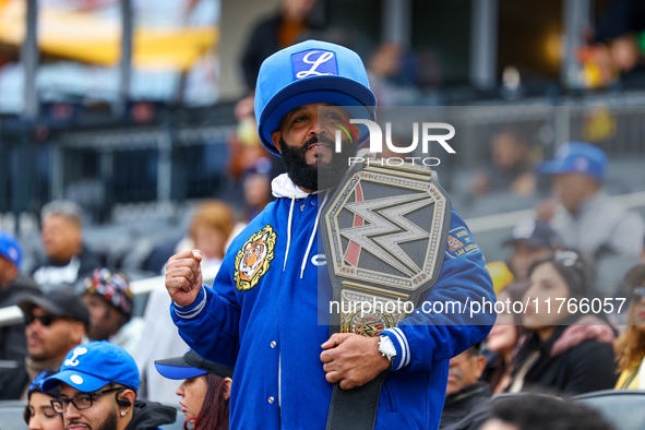 The Los Tigres del Licey fans cheer during the baseball game against Las Aguilas Cibaenas at Citi Field in Corona, N.Y., on November 10, 202...