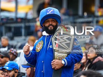 The Los Tigres del Licey fans cheer during the baseball game against Las Aguilas Cibaenas at Citi Field in Corona, N.Y., on November 10, 202...