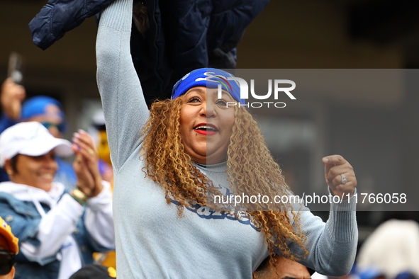 The Los Tigres del Licey fans cheer during the baseball game against Las Aguilas Cibaenas at Citi Field in Corona, N.Y., on November 10, 202...