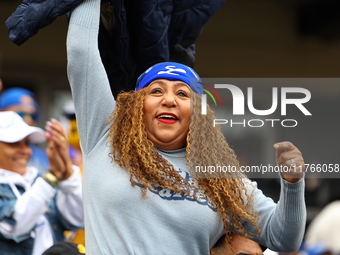 The Los Tigres del Licey fans cheer during the baseball game against Las Aguilas Cibaenas at Citi Field in Corona, N.Y., on November 10, 202...