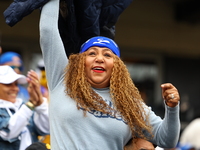 The Los Tigres del Licey fans cheer during the baseball game against Las Aguilas Cibaenas at Citi Field in Corona, N.Y., on November 10, 202...