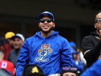 The Los Tigres del Licey fans cheer during the baseball game against Las Aguilas Cibaenas at Citi Field in Corona, N.Y., on November 10, 202...