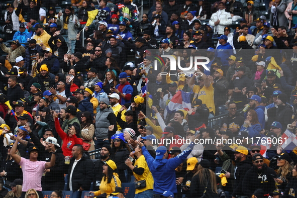 The Las Aguilas Cibaenas fans cheer during the baseball game against the Los Tigres del Licey at Citi Field in Corona, N.Y., on November 10,...