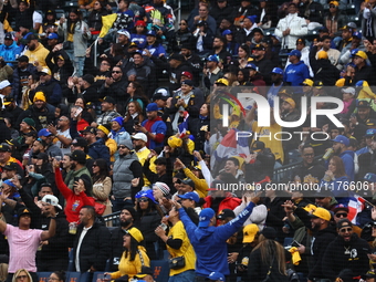 The Las Aguilas Cibaenas fans cheer during the baseball game against the Los Tigres del Licey at Citi Field in Corona, N.Y., on November 10,...