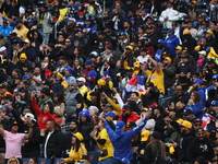 The Las Aguilas Cibaenas fans cheer during the baseball game against the Los Tigres del Licey at Citi Field in Corona, N.Y., on November 10,...