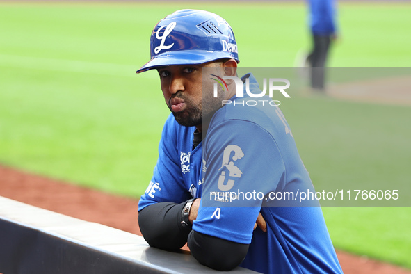 Los Tigres del Licey coach Raywilly Gomez is present during the seventh inning of a baseball game against Las Aguilas Cibaenas at Citi Field...