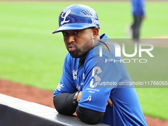 Los Tigres del Licey coach Raywilly Gomez is present during the seventh inning of a baseball game against Las Aguilas Cibaenas at Citi Field...