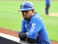 Los Tigres del Licey coach Raywilly Gomez is present during the seventh inning of a baseball game against Las Aguilas Cibaenas at Citi Field...