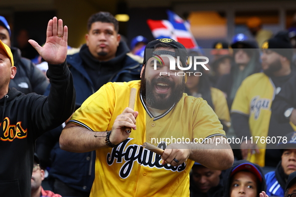 The Las Aguilas Cibaenas fans cheer during the baseball game against the Los Tigres del Licey at Citi Field in Corona, N.Y., on November 10,...