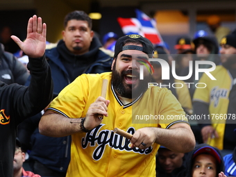 The Las Aguilas Cibaenas fans cheer during the baseball game against the Los Tigres del Licey at Citi Field in Corona, N.Y., on November 10,...